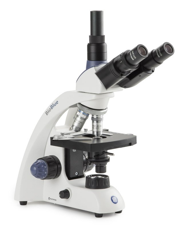 Euromex BB.4253-E BioBlue Trinocular Microscope