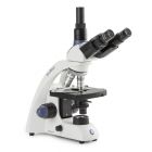 Euromex BioBlue BB.4253 Trinocular Student Microscope