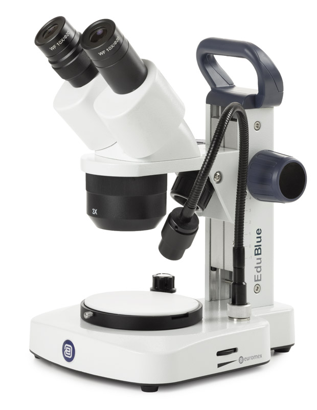 Euromex EduBlue ED.1302-EVO Stereo Microscope