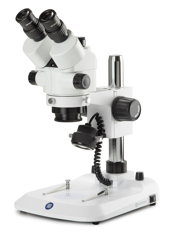 Euromex SB.1903-P StereoBlue Trinocular Stereo Zoom Microscope