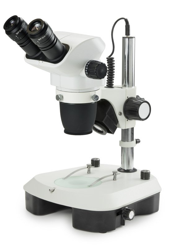 Euromex NexiusZoom EVO Stereo Microscope