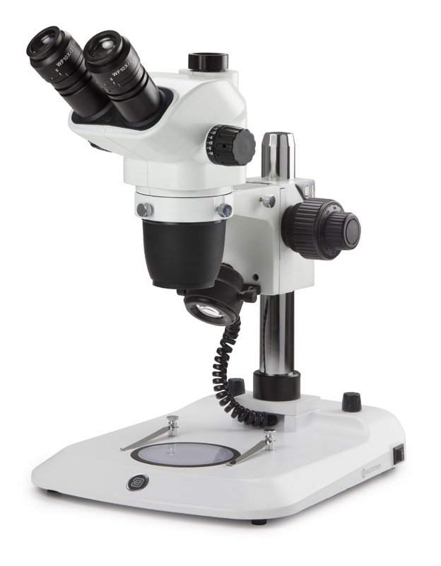 Euromex NexiusZoom EVO Trinocular Stereo Microscope