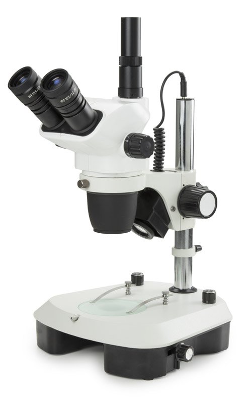 Euromex NexiusZoom Stereo Microscope