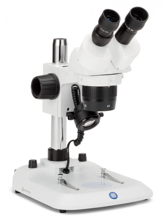 Euromex SB.1402-P StereoBlue Binocular Stereo Microscope