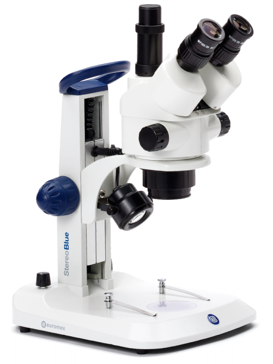 Euromex SB.1903 StereoBlue Trinocular Stereo Zoom Microscope