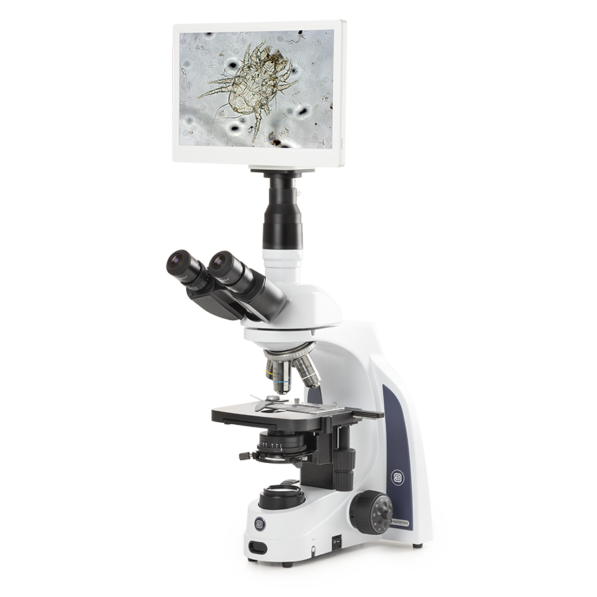 Euromex iScope Trinocular Microscope, Plan IOS Objectives + 4K UHD Camera HDMI, 40x-1000x