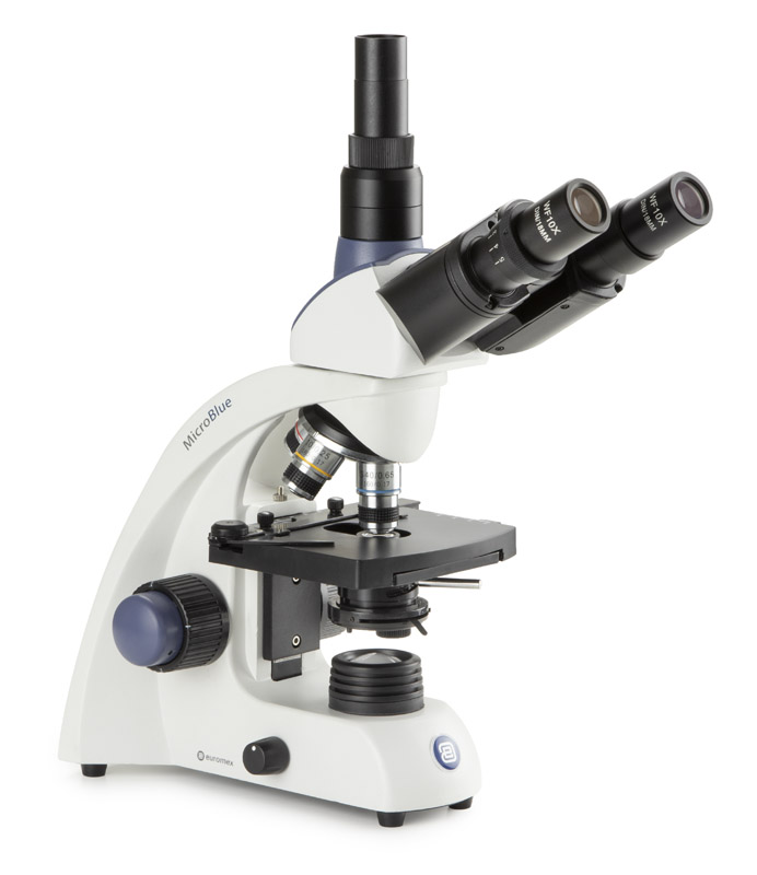 Euromex MicroBlue Trinocular microscope with camera
