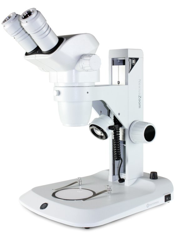 Euromex NexiusZoom Stereo Zoom Microscope