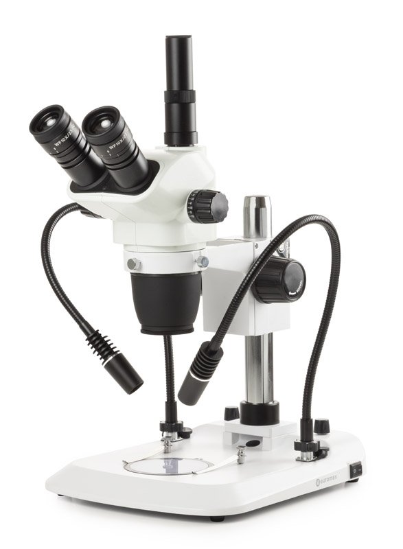Euromex NexiusZoom EVO Stereo Microscope