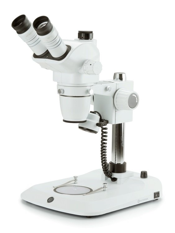 Euromex NexiusZoom Stereo Zoom Microscope