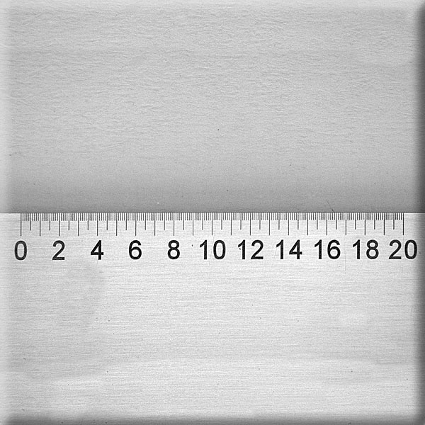 S-RL-6 Crack magnifier scale