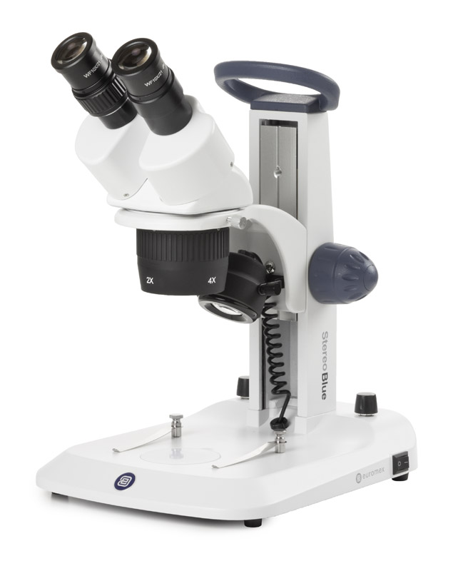 Euromex SB.1402 StereoBlue Binocular Stereo Microscope