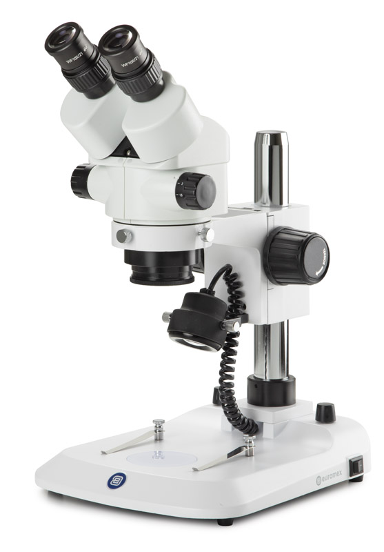 Euromex SB.1902-P StereoBlue Binocular Stereo Zoom Microscope
