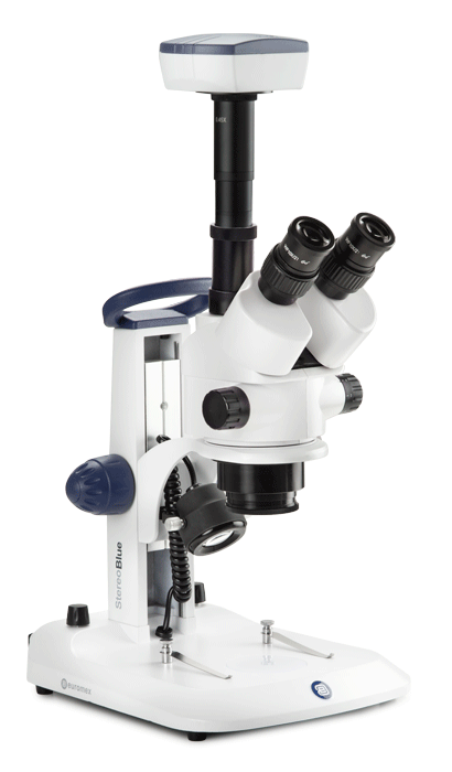Euromex StereoBlue Stereo Microscope, Pillar Stand, 5.0MP USB Camera,