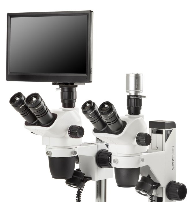 Euromex NexiusZoom EVO Stereo Microscope, Rack & Pinion Stand, HDMI Camera