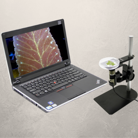 USB Digital Microscope Review - Rs' Science