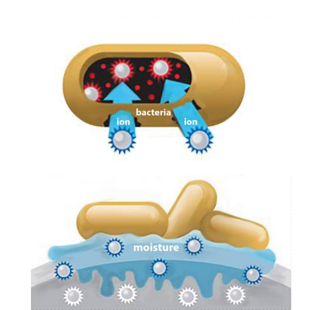 antibacterial protection antibacterial protection
